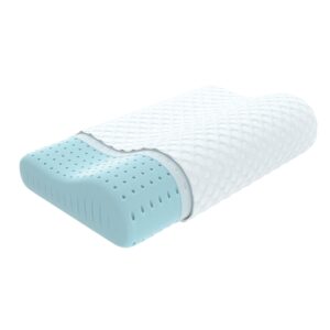 CQQC Contour Memory Foam Pillow