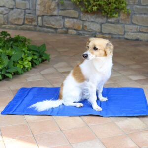 Sogni e e Capricci mata chłodząca dla zwierząt domowych, 50 x 90 cm