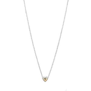 Golden Heart Pandora Collar - 399399C00-45 Silver Polish