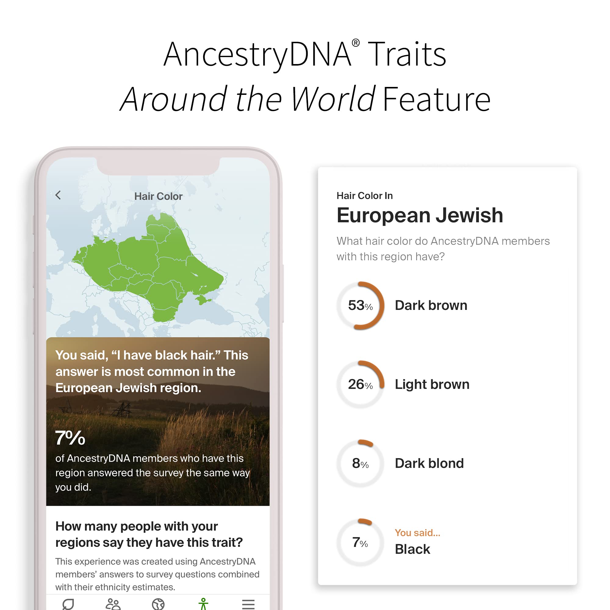 AncestryDNA + cechy: Pochodzenie genetyczne + testy cechowe, zestaw An - obrazek 4