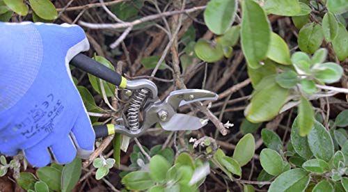 Wysokiej jakości włócznia do polowania - najlepsza broń dla myśliwych - obrazek 4