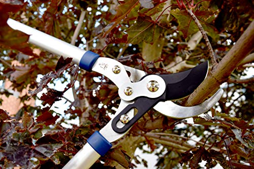 Spear & Jackson 8031RS 71 cm Podwójnie złożony sekator obejściowy - obrazek 3