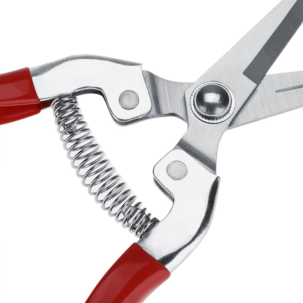 Profesjonalne nożyce do szczepienia drzew owocowych i przycinania - Bonsai, ogrodnicze, kosiarek, Sekatory Clippers - obrazek 3