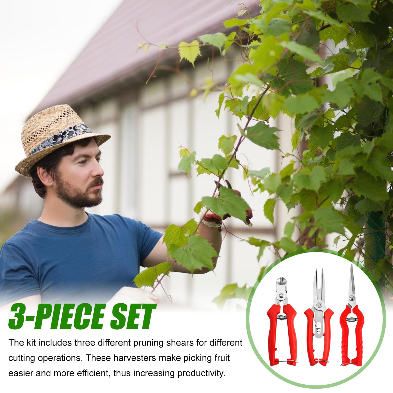 Zestaw 3 nożyc ogrodowych do przycinania róż i drzew - stal nierdzewna - obrazek 6