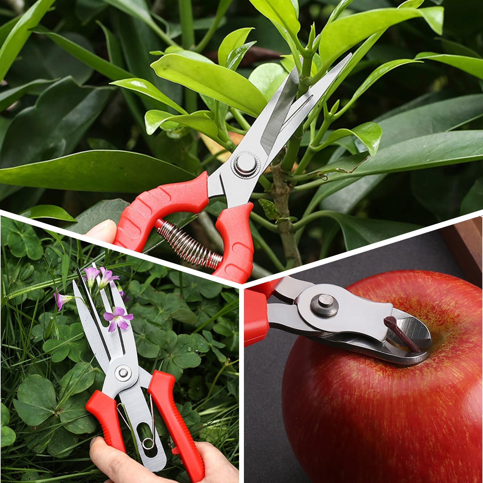 Zestaw 3 nożyc ogrodowych do przycinania róż i drzew - stal nierdzewna - obrazek 3