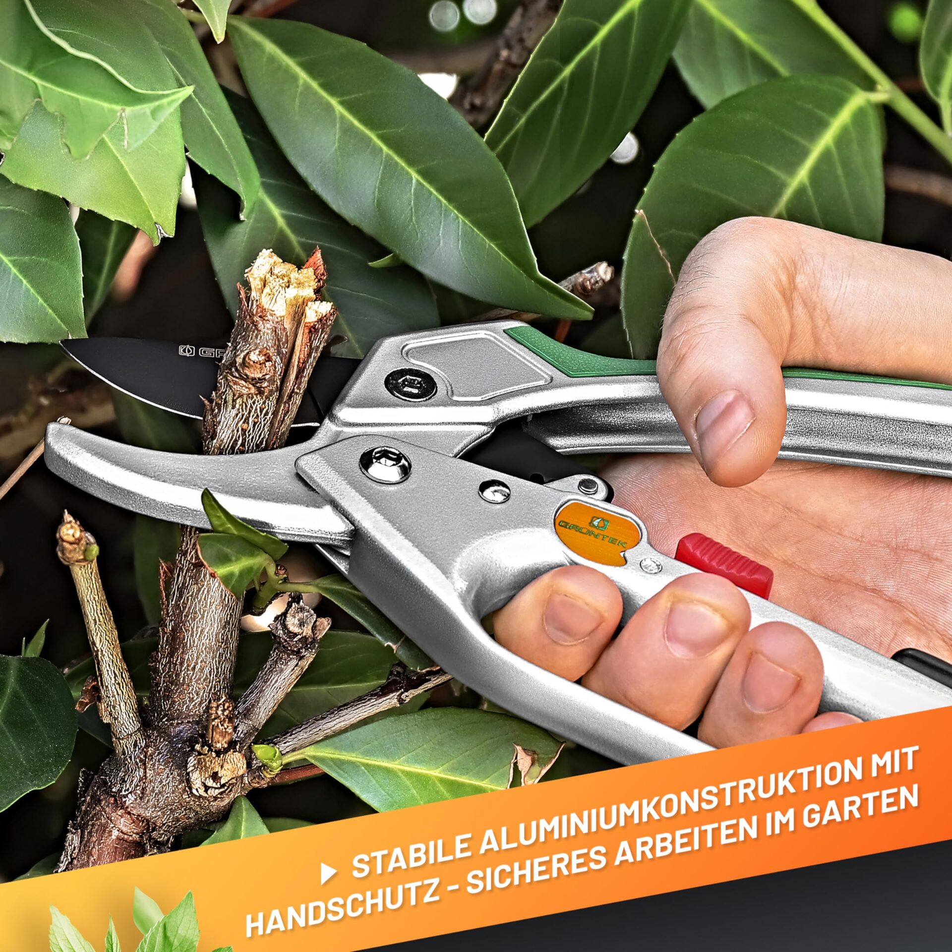 GRÜNTEK Condor Sekatory z grzechotką, 200 mm, ostrze SK5, cięcie 20 mm - obrazek 3