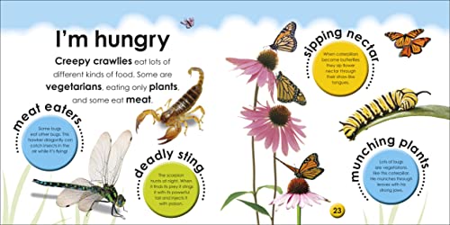 First Facts Bugs - obrazek 4