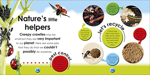 First Facts Bugs - obrazek 5