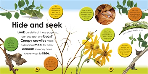 First Facts Bugs - obrazek 3