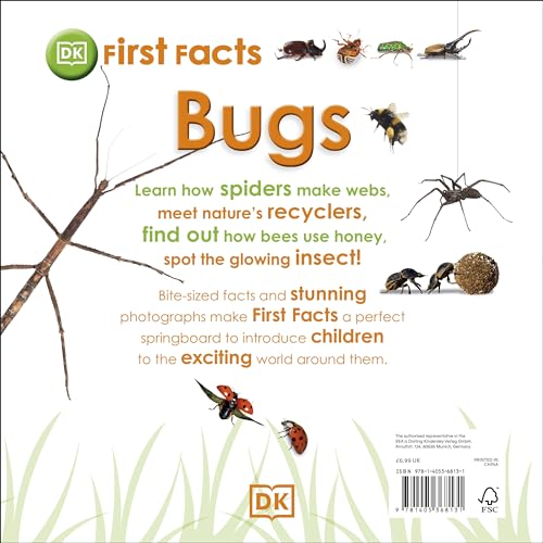 First Facts Bugs - obrazek 9