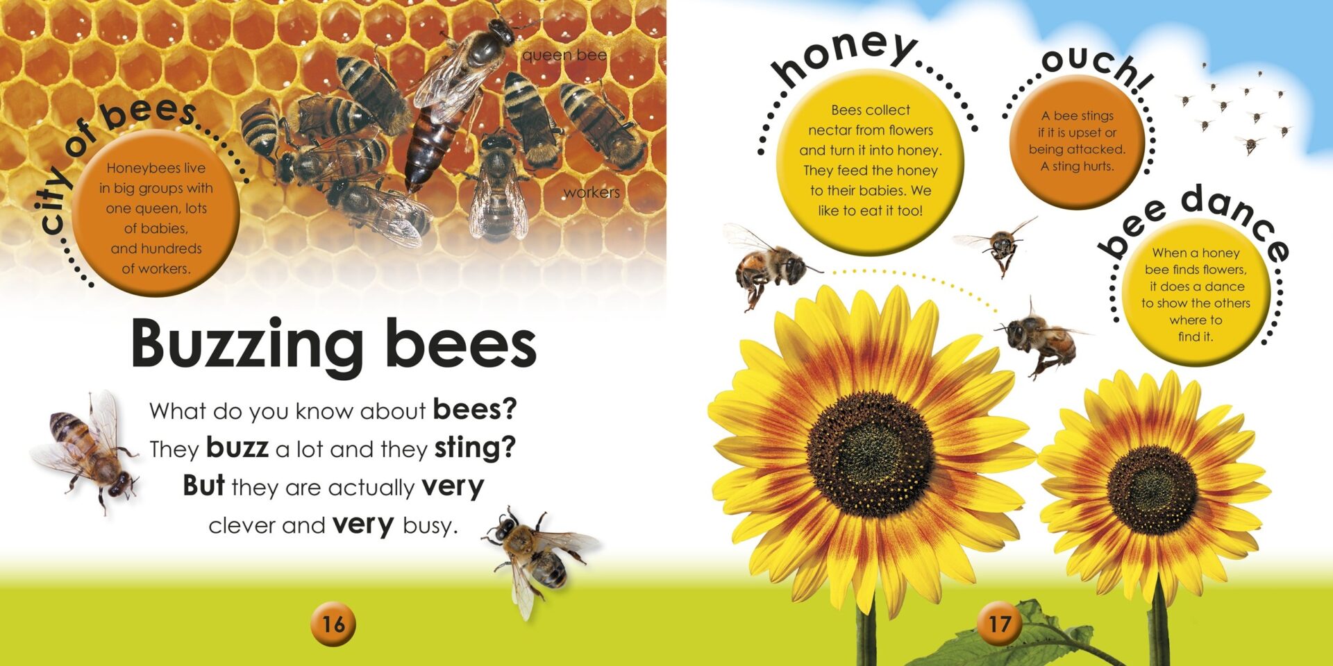 First Facts Bugs - obrazek 6