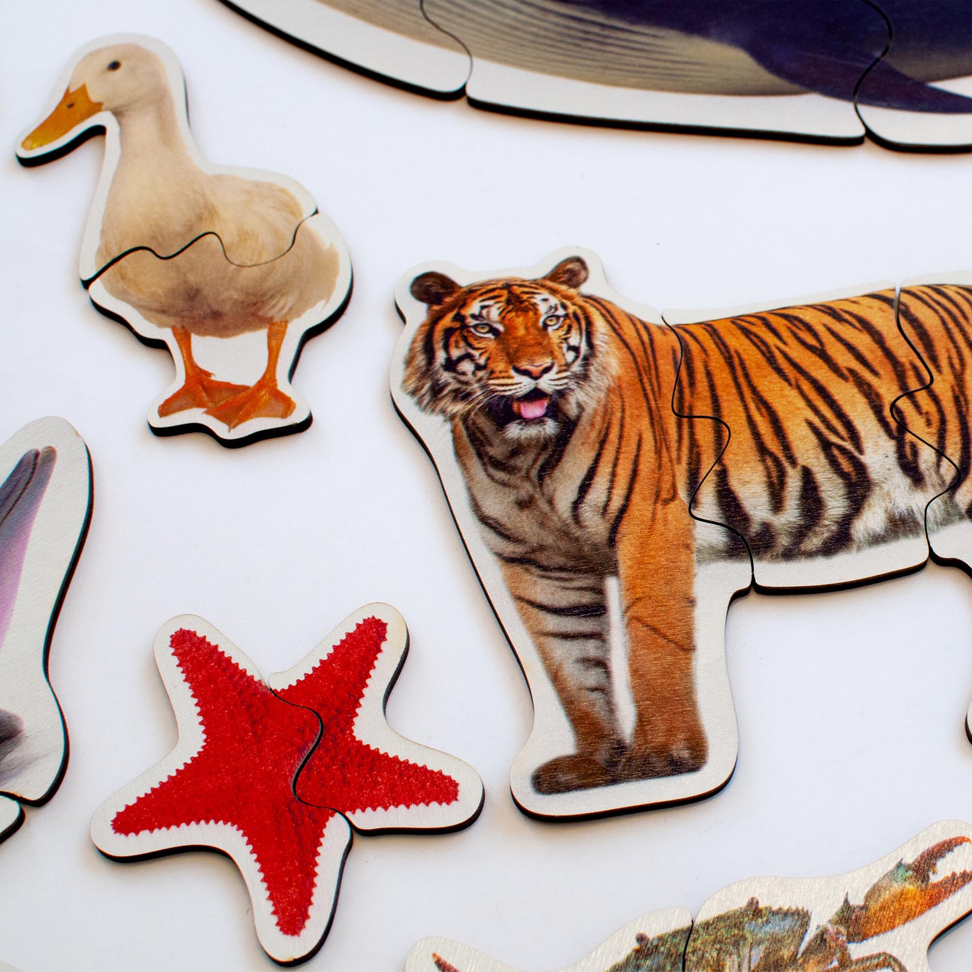 Drewniane Puzzle Ulanik ze Zwierzętami dla Dzieci 3+ – 29 Figurków - obrazek 4